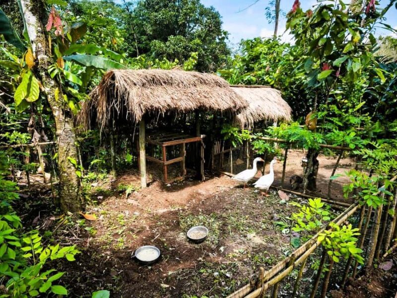 Bali Village Sunset Experience  Jamu, Local Sweets & Dinner - Melodic Bamboo and Village Rhythms