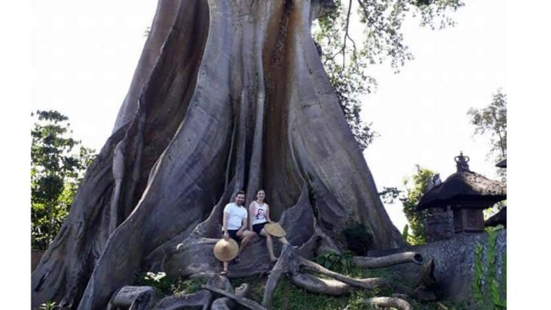 Bali: Village Tour with Coconut Oil and Chocolate Factory - Key Points