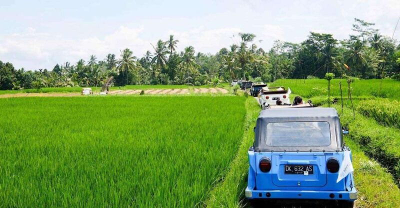 bali-vintage-vw-jeep-countryside-safari
