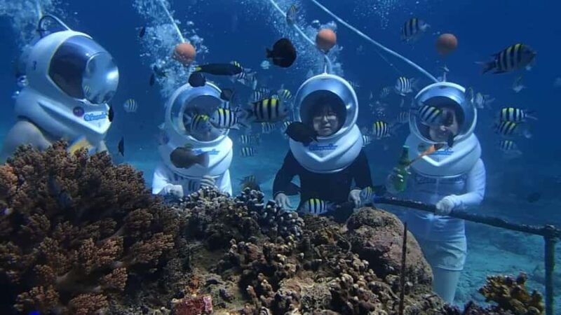 Bali Vip: Sea Walker Under Water Experience - Key Points