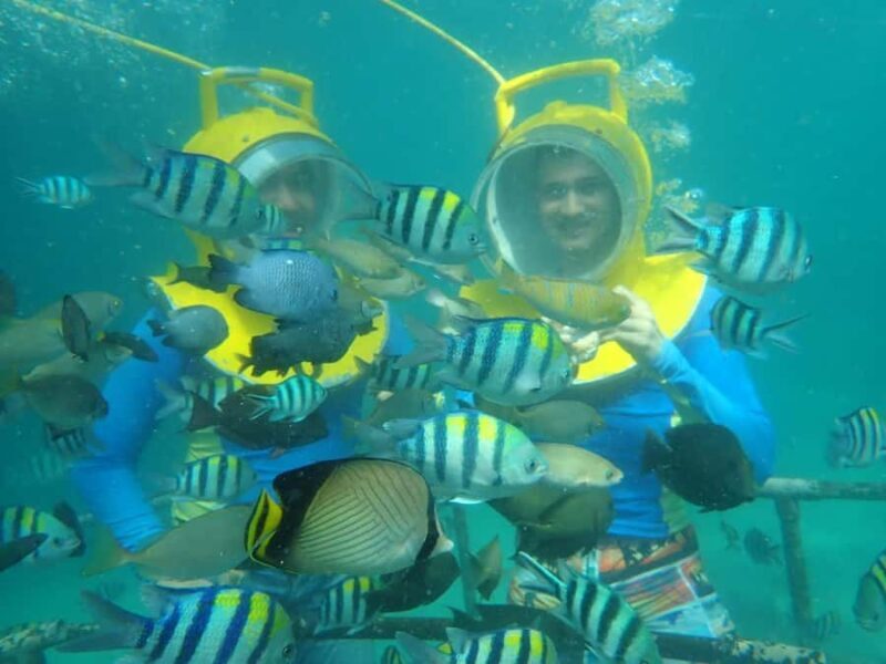 Bali Vip: Sea Walker Under Water Experience - What to Expect from the Bali Vip Sea Walker Experience