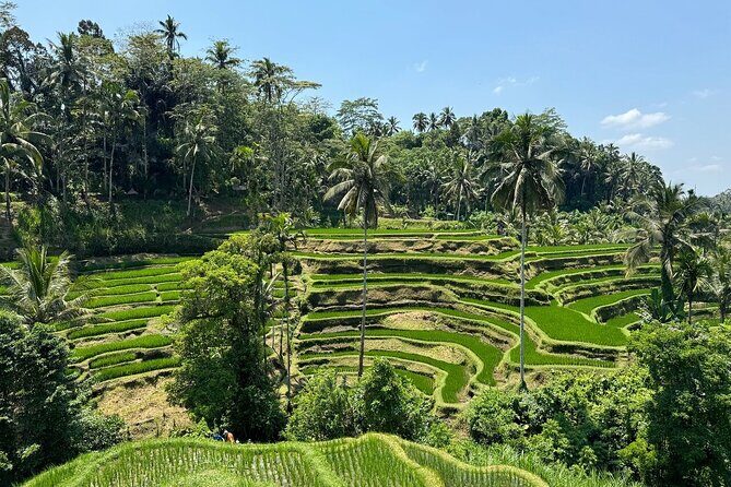 Bali Volcano & Ubud Day Tour  Temples, Rice Terraces & Lunch - An In-Depth Look at the Tour Experience