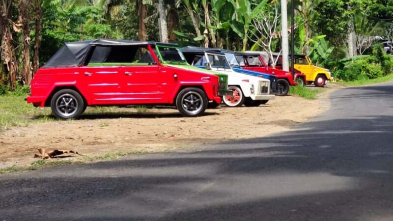 Bali VW Safari: Retro Adventure Tour - Authentic Insights from Reviews