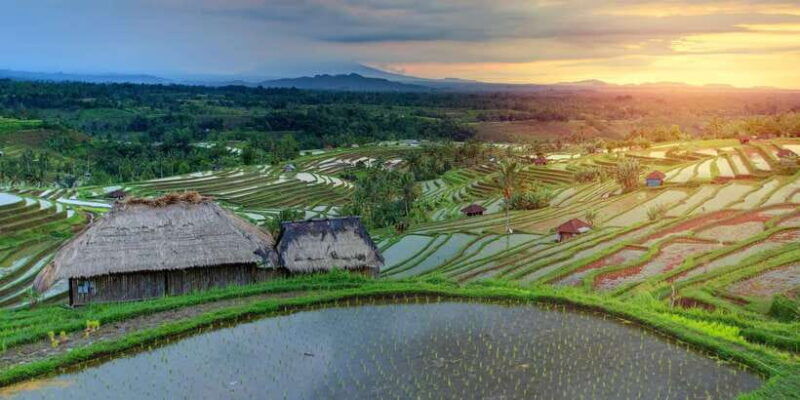 bali-water-temple-waterfalls-and-unesco-rice-terraces-tour