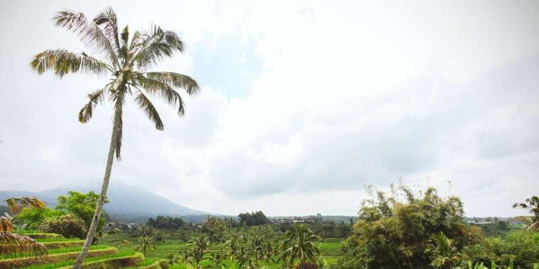 bali-water-temple-waterfalls-and-unesco-rice-terraces-tour