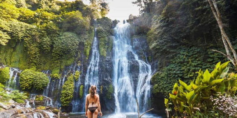 bali-water-temple-waterfalls-and-unesco-rice-terraces-tour
