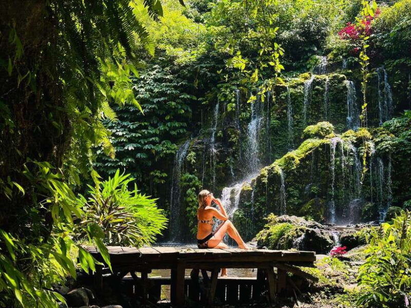 bali-waterfall-in-the-forest-twin-lake-view-tour