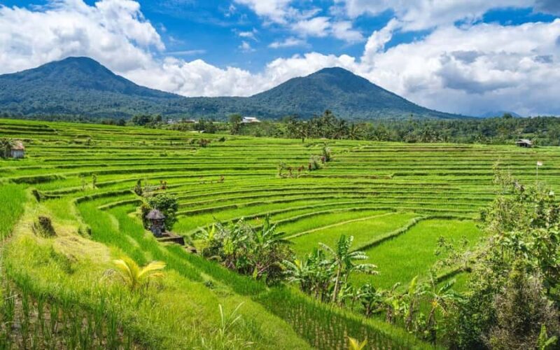 Bali: Waterfall, Rice Terraces, Temples and Sun-Set Day Tour - Exploring Bali’s Natural and Cultural Gems