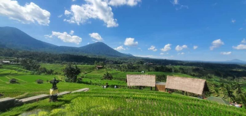 Bali: Waterfall, Rice Terraces, Temples and Sun-Set Day Tour - The Sum Up