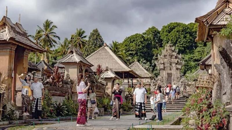 Bali: Waterfall, Tirta Empul & Traditional Village Day Trip - Who Will Love This Tour?