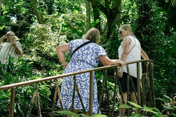 Bali Waterfalls and Monkey River Private Day Tour - Final Thoughts