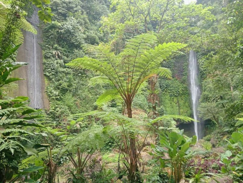 Bali: Waterfalls, Lake Buyan, and Honey Farm Tour - Exploring Bali’s Waterfalls and Nature