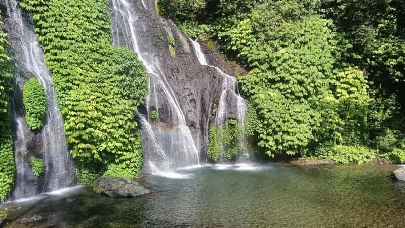 Bali: Waterfalls, Lake Buyan, and Honey Farm Tour - Visiting the Trigona Honey Farm