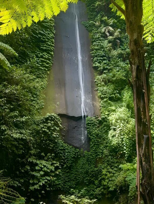 Bali: Waterfalls, Lake Buyan, and Honey Farm Tour - Logistics and Practical Details