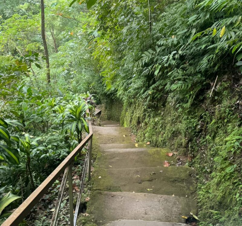 Bali: Waterfalls, Lake Buyan, and Honey Farm Tour - The Experience’s Value