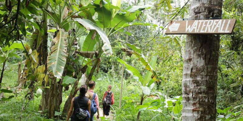 bali-waterfalls-quest-discover-4-waterfalls-in-1-day