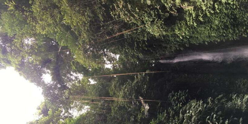 bali-waterfalls-quest-discover-4-waterfalls-in-1-day