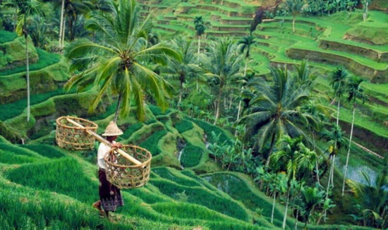 bali-waterfalls-temples-and-rice-terraces-tour