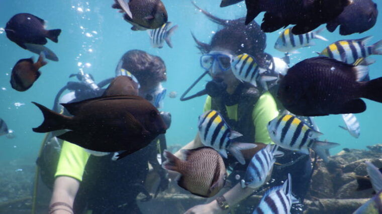 bali-watersport-scuba-diving-jetski-dunut-boat-exclusive