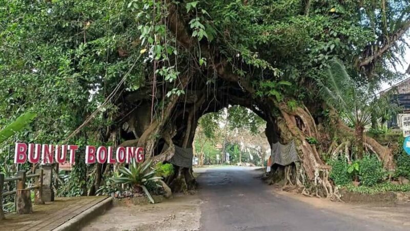 Bali: West Bali Private Tour with Lunch and Transfers - Final Thoughts: Is It Right for You?