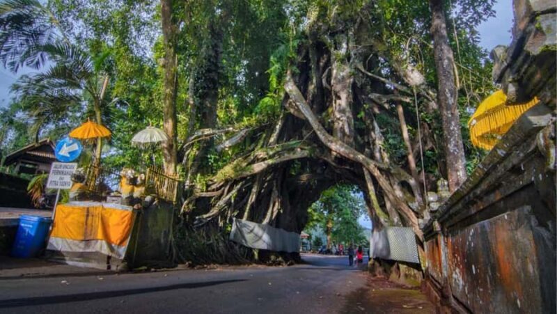 Bali: West Bali Private Tour with Lunch and Transfers - Final Summary