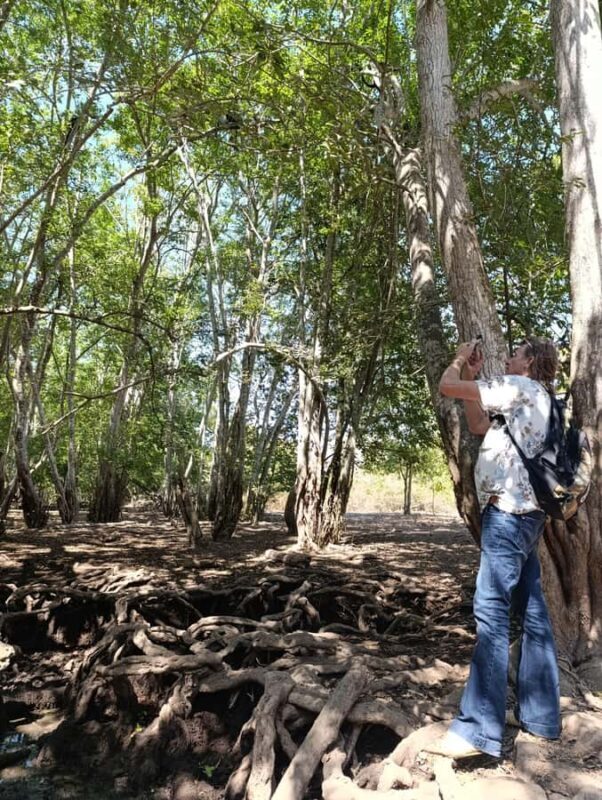 Bali: West Bali Rainforest Guided Trekking Tour - Key Points