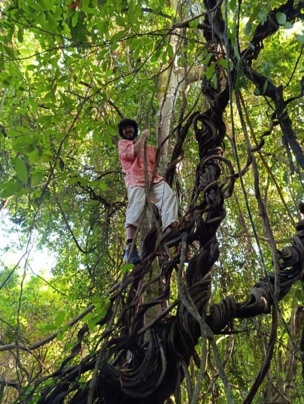 Bali: West Bali Rainforest Guided Trekking Tour - Exploring a Hidden Gem of Bali