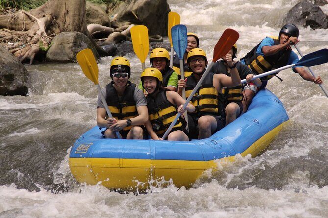 Bali White Water Rafting Including Lunch and Transport - Key Points