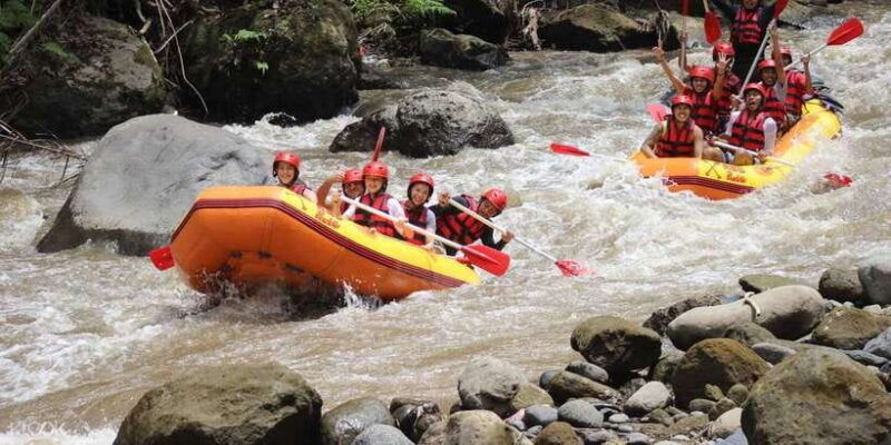bali-white-water-rafting-lunch-private-transfer-included