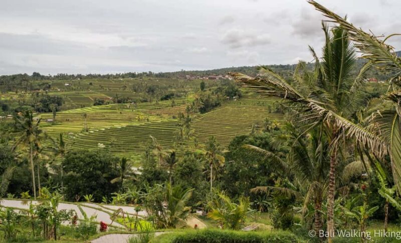 Bali: Wonderland Exotic Nature Tour - Who Should Consider This Tour?