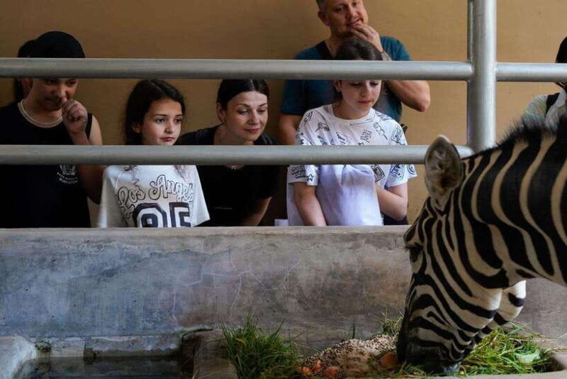 bali-zoo-behind-closed-doors-afternoon-safari-guided-tour
