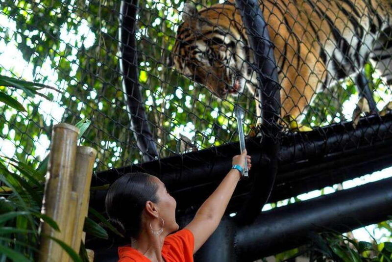 bali-zoo-behind-closed-doors-afternoon-safari-guided-tour