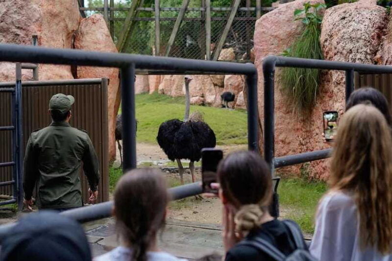 bali-zoo-behind-closed-doors-afternoon-safari-guided-tour