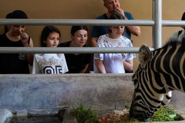 bali-zoo-behind-closed-doors-afternoon-safari-guided-tour