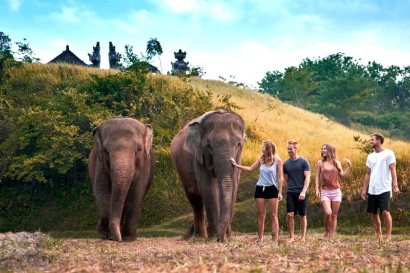 Bali Zoo: Guided Ethical Elephant Care Experience - Authentic Insights from Reviewers