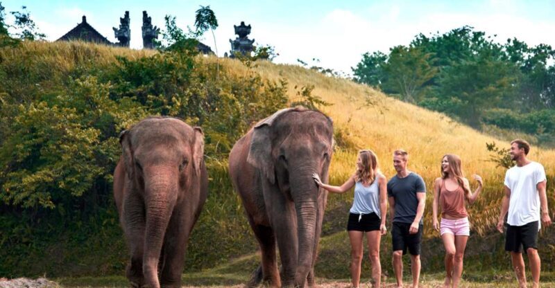 Bali Zoo: Guided Ethical Elephant Care Experience - Price and Value Analysis