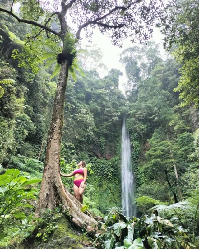 Bali:Explore 5 Waterfalls Trekking Tour in Munduk Bali - Exploring the Waterfalls and Landscape
