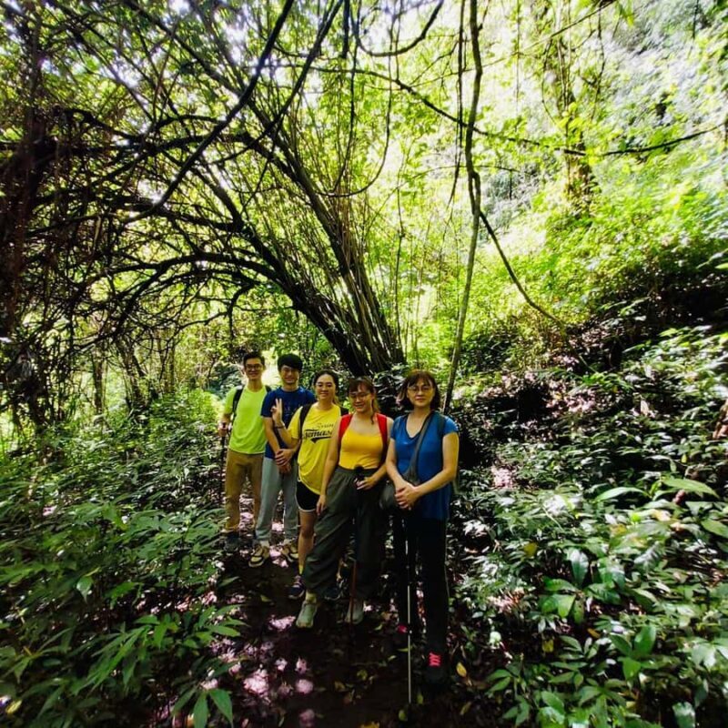 Bali:Explore 5 Waterfalls Trekking Tour in Munduk Bali - The Value of the Experience