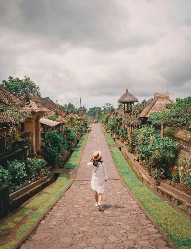 Bali:Highlight Nature Tour Penglipuran, Tirta Empul - Who Is This Tour Best For?