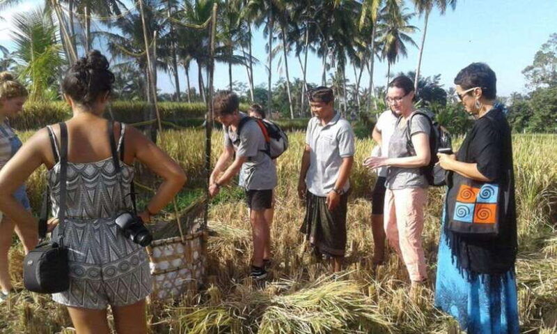 balinese-culinary-adventure-authentic-cooking-class-in-ubud