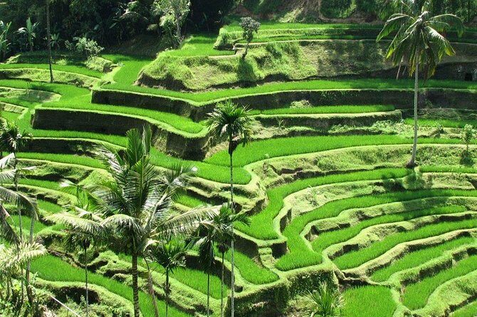 Balinese Ritual Purification Tour - Frequently Asked Questions