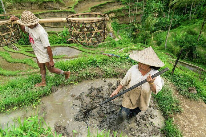 Balinese Ritual Purification Tour - Final Thoughts