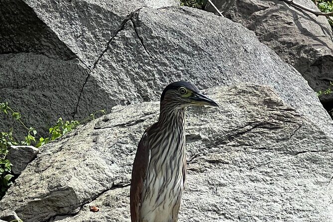 Balinsasayao Twin Lakes Half Day Tour | Tours in English - The Value of the Experience