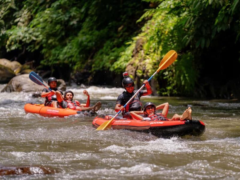 Balis Best Rated Kayak Adventures - Why This Tour Offers Great Value