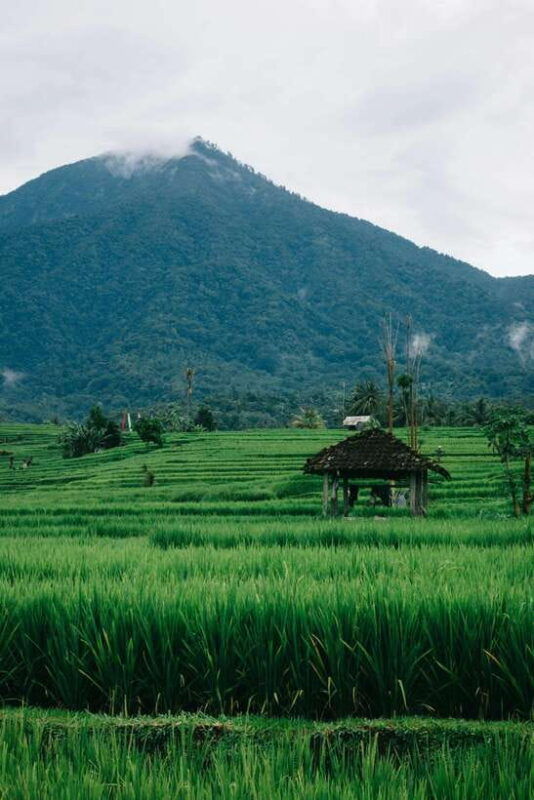 balis-iconic-waterfalls-rice-terraces-sunset-at-la-brisa