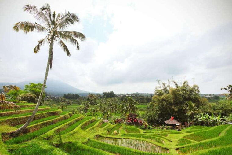 balis-iconic-waterfalls-rice-terraces-sunset-at-la-brisa