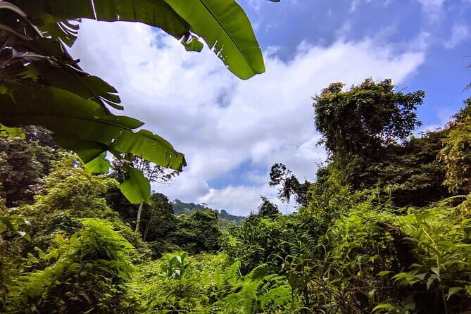 Balis Mystical Jungle Trek & Hidden Waterfall Adventure - An Honest Look at the Tour