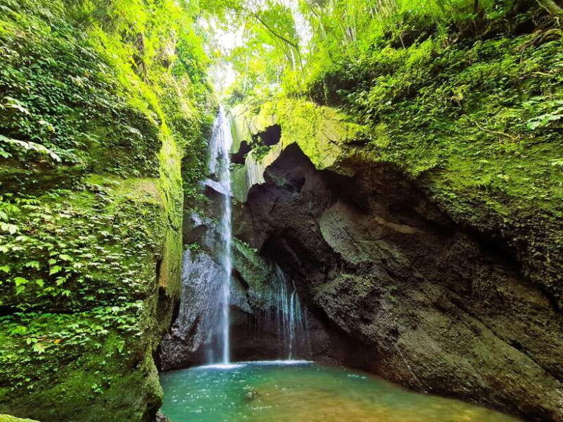 balis-mystical-jungle-trek-hidden-waterfall-adventure