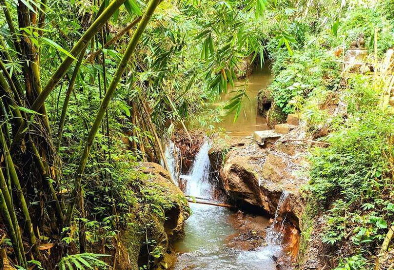 balis-mystical-jungle-trek-hidden-waterfall-adventure