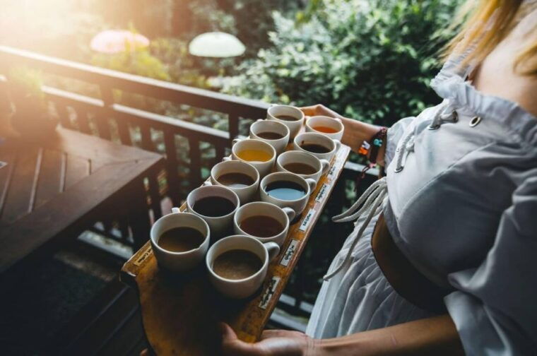 balis-waterfall-wonders-exploring-natures-masterpieces